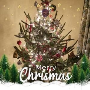 Meet your Posher, Sandy